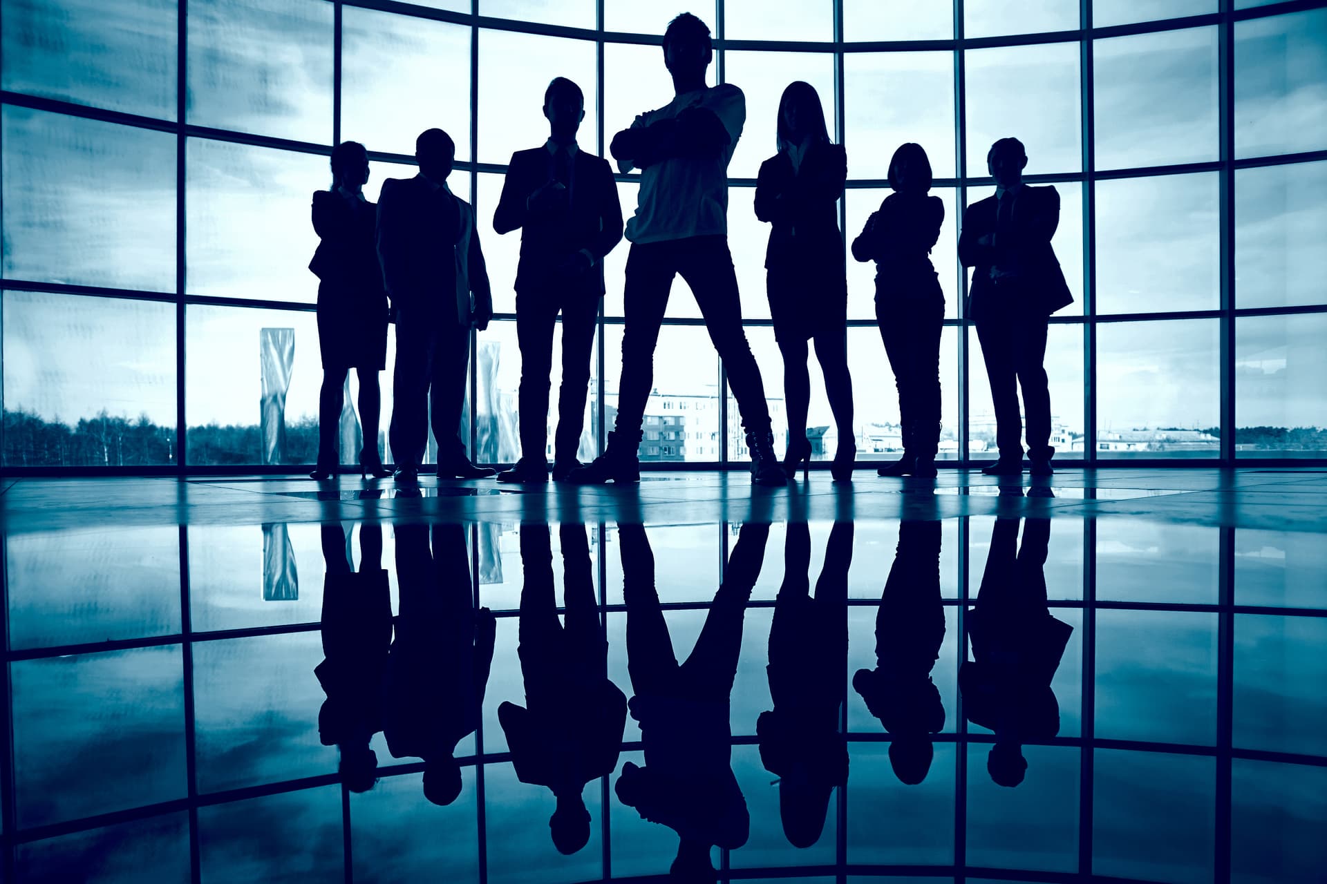 DreamSkyTech Team